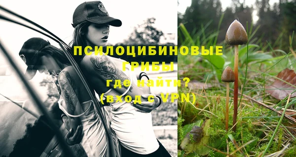 a pvp Балабаново