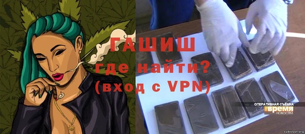 дживик Ельня