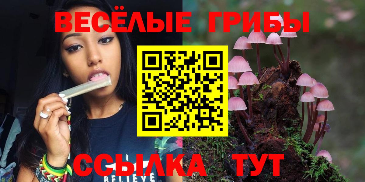 Зима  Галлюциногенные грибы Cubensis  Галлюциногенные грибы MAGIC MUSHROOMS  Вход с VPN 